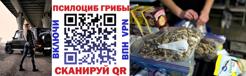 Купить закладки  Баймак  Псилоцибиновые грибы Cubensis 